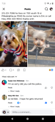 Lost Male Dog last seen Near the n walnut Philadelphia pa 19146, Philadelphia, PA 19102