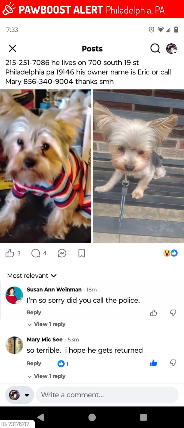 Lost Male Dog last seen Near the n walnut Philadelphia pa 19146, Philadelphia, PA 19102