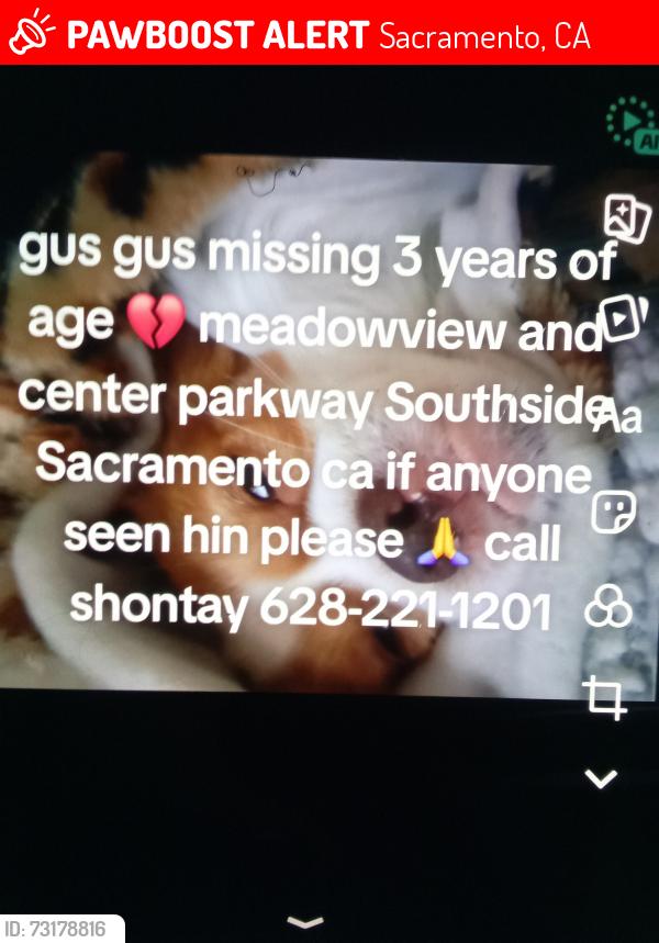 Lost Male Dog last seen Center parkway, Sacramento, CA 95823
