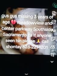 Lost Male Dog last seen Center parkway, Sacramento, CA 95823