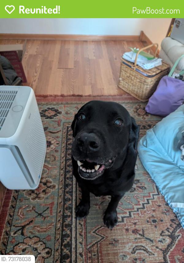 Reunited Male Dog last seen 106th Ave NW Coon Rapids MN, Coon Rapids, MN 55433