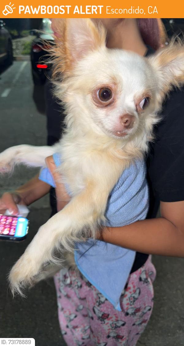 Found/Stray Male Dog last seen Harding st, Escondido, CA 92027