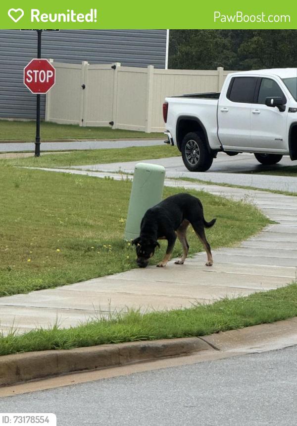 Reunited Unknown Dog last seen Hartridge manor. Splendid place, Simpsonville, SC 29680