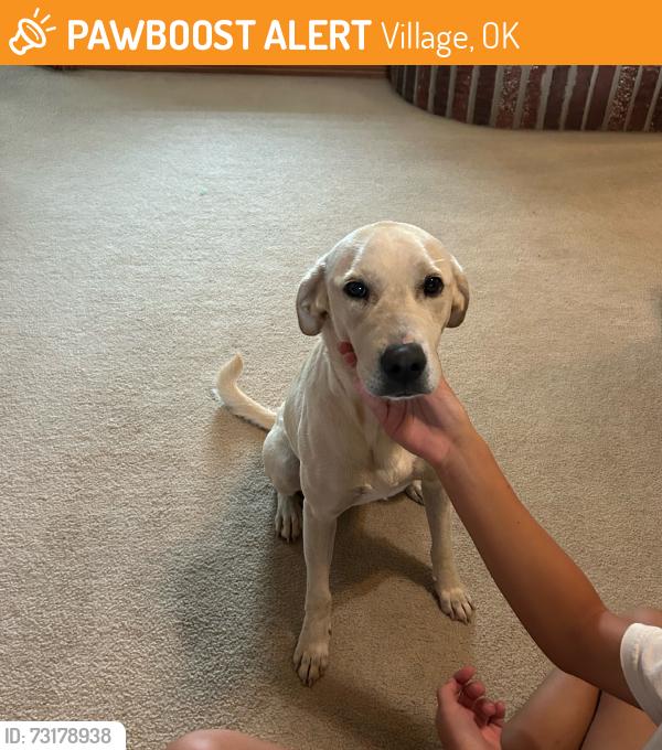 Found/Stray Female Dog last seen Lake hefner, Village, OK 73120