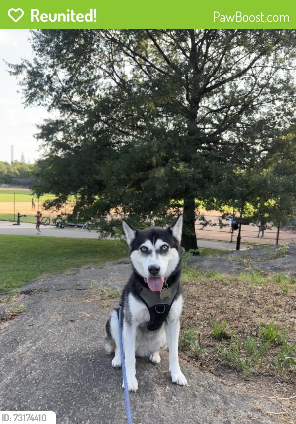 Reunited Female Dog last seen Near Heritage Drive Warren NJ, Warren, NJ 07059