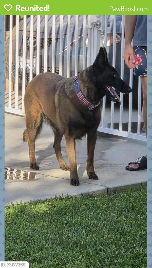 Reunited Unknown Dog last seen Hamilton st, Irvine, CA 92614