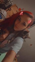 Lost Female Cat last seen Got out of my friends hse that was watching her. hse is diagonal from N. 3rd St Laundromat on Lehman St. In Lebanon, Lebanon, PA 17046