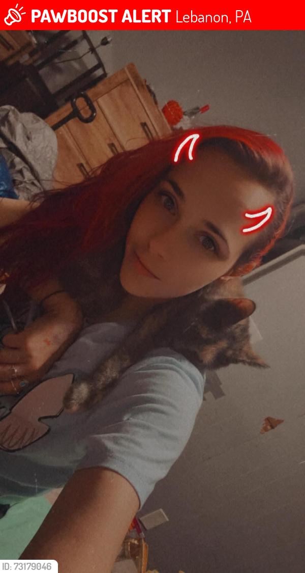 Lost Female Cat last seen Got out of my friends hse that was watching her. hse is diagonal from N. 3rd St Laundromat on Lehman St. In Lebanon, Lebanon, PA 17046