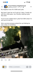 Lost Male Cat last seen 55th/56th Lydia and/or Paseo, Kansas City, MO 64106
