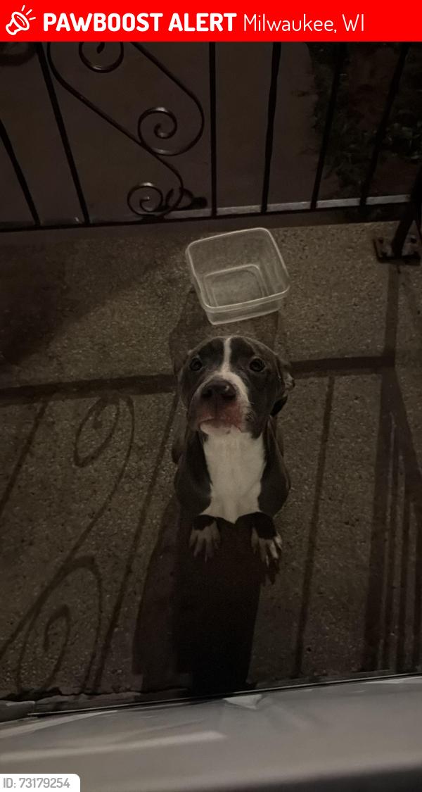 Lost Male Dog last seen Scott,national, Milwaukee, WI 53204