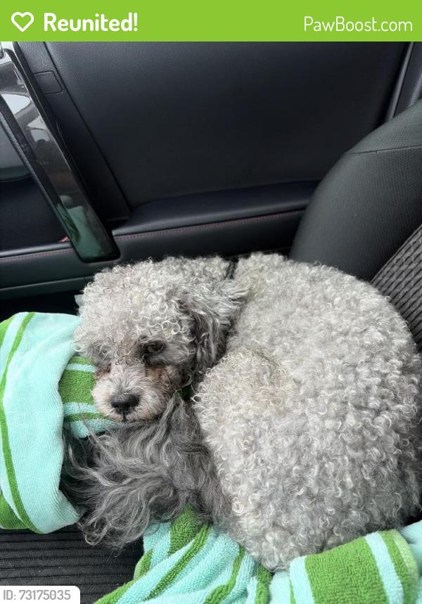 Reunited Unknown Dog last seen Sudley Pt, Jamestown, NC 27282, USA, Jamestown, NC 27282