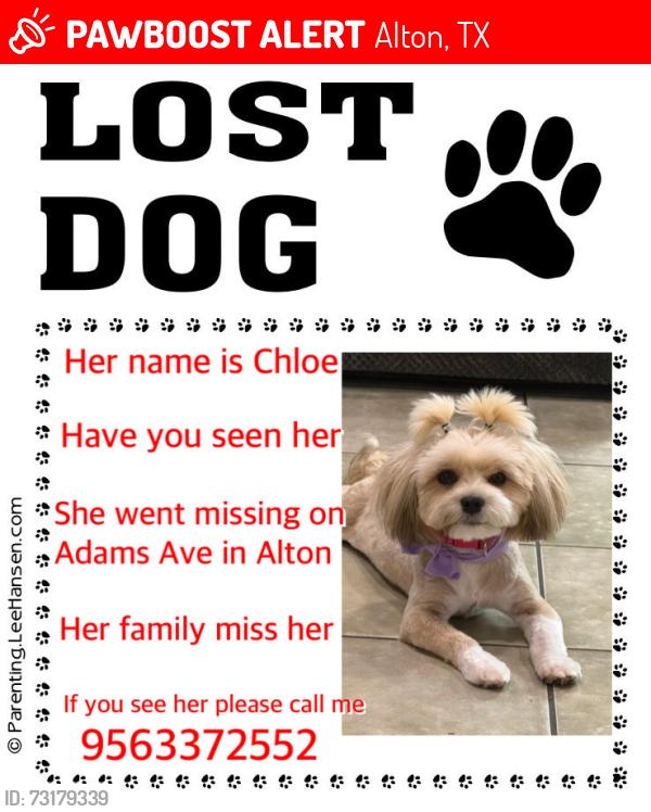 Lost Female Dog last seen Glasscock 5 mile, Alton, TX 78573