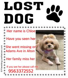 Lost Female Dog last seen Glasscock 5 mile, Alton, TX 78573
