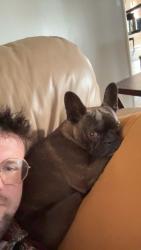 Lost Male Dog last seen Hwy 177, Wellston, OK 74881