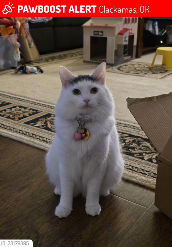 Lost Female Cat last seen SE 153rd Dr, Clackamas, Clackamas, OR 97015