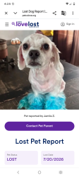 Reunited Male Dog last seen 28th and Villard, Milwaukee, WI 53215