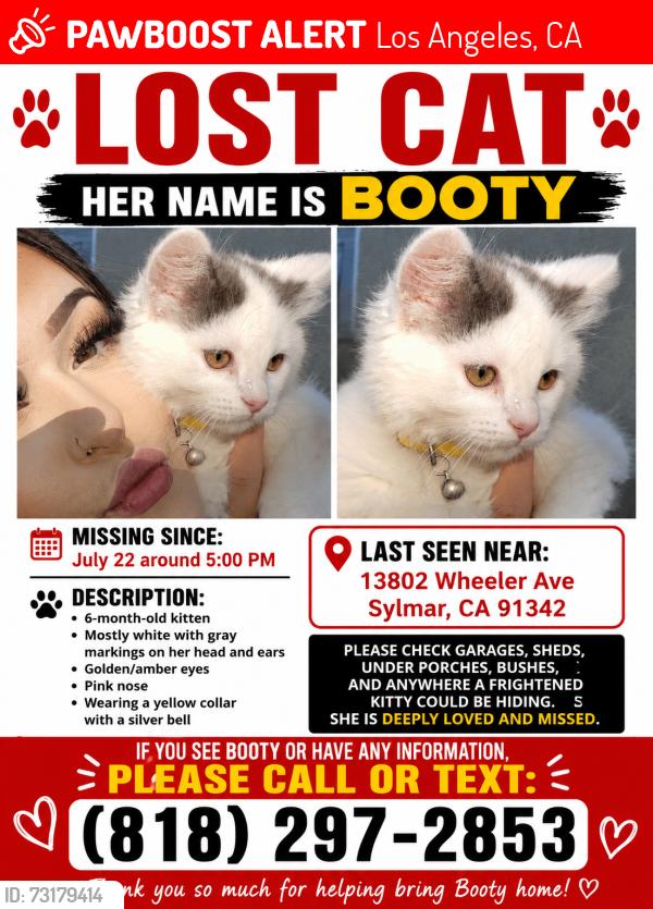 Lost Female Cat last seen Wheeler and tyler, Los Angeles, CA 91342