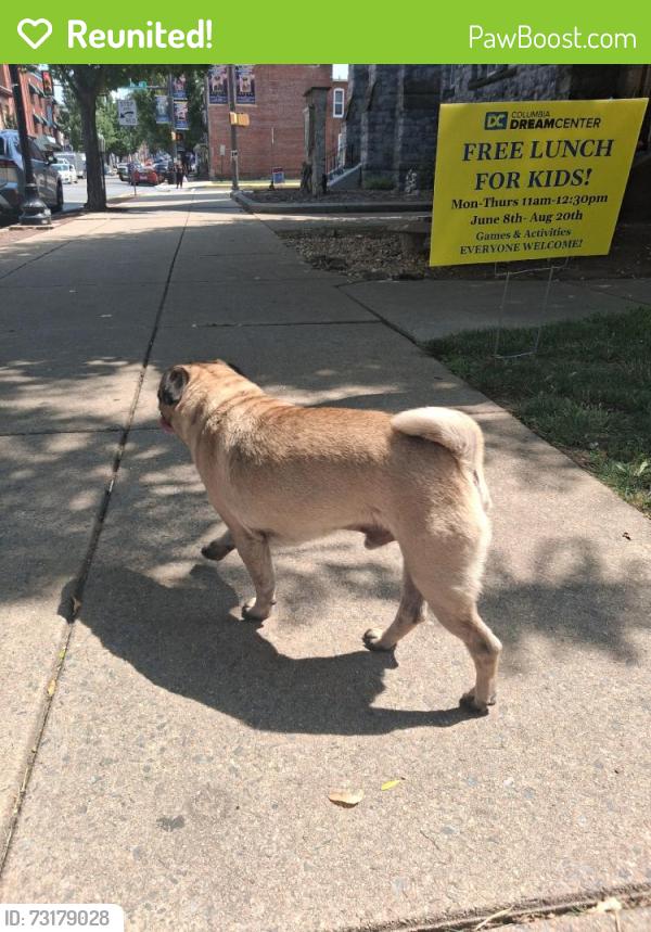 Reunited Male Dog last seen Near Locust St, Columbia, PA 17512, USA, Columbia, PA 17512