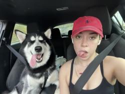 Lost Male Dog last seen Menchaca and 28th, San Antonio, TX 78228