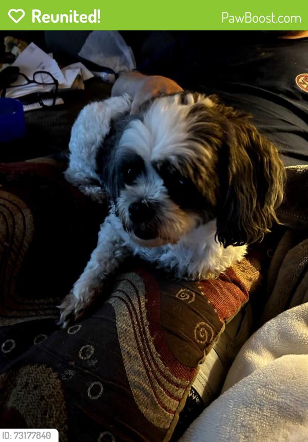 Reunited Unknown Dog last seen Kempsville Road, Virginia Beach, VA 23464