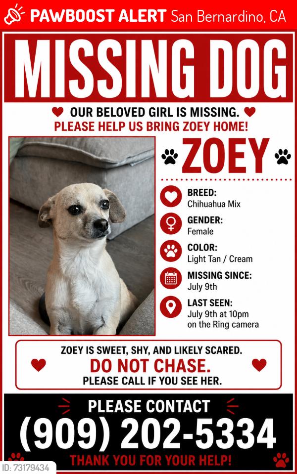 Lost Female Dog last seen Highland and medical center, San Bernardino, CA 92411