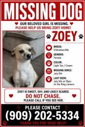Lost Female Dog last seen Highland and medical center, San Bernardino, CA 92411