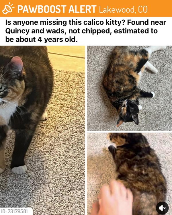 Found/Stray Female Cat last seen Near Costco, Lakewood, CO 80235