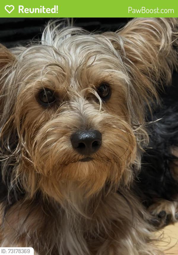 Reunited Male Dog last seen Winery, Redland, FL 33031