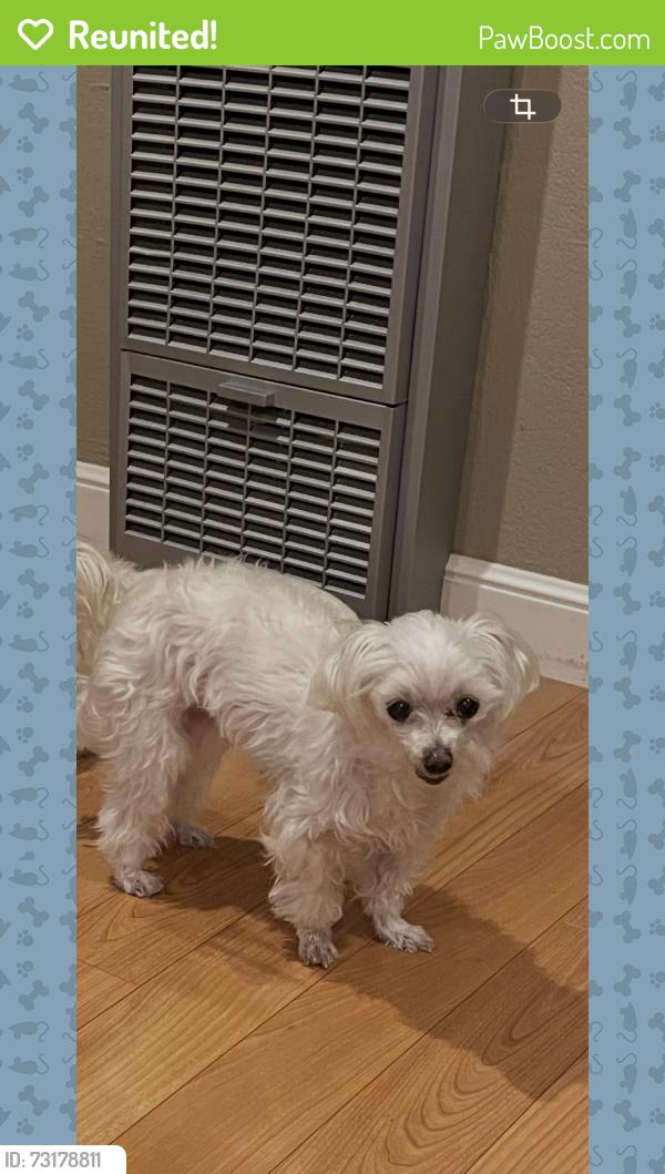 Reunited Female Dog last seen Concord Blvd/Ayers, Concord, CA 94521