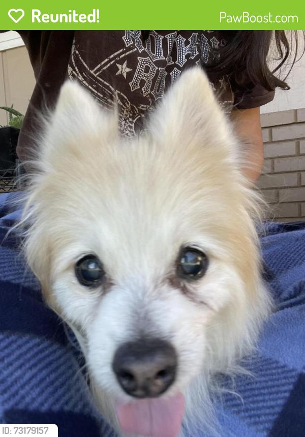 Reunited Unknown Dog last seen La Loma Park, Modesto, CA 95354