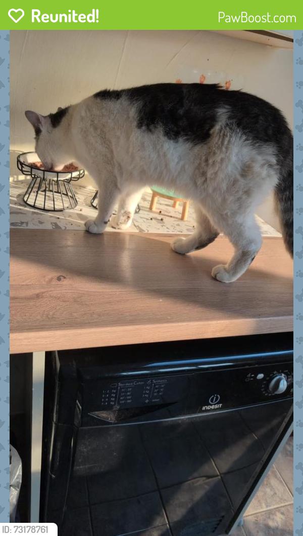 Reunited Male Cat last seen King Georges Playing Field, West Sussex, England PO22 8QS