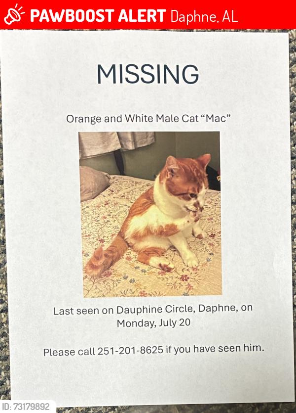 Lost Male Cat last seen Dauphine Circle, Daphne, AL 36526