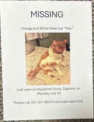 Lost Male Cat last seen Dauphine Circle, Daphne, AL 36526