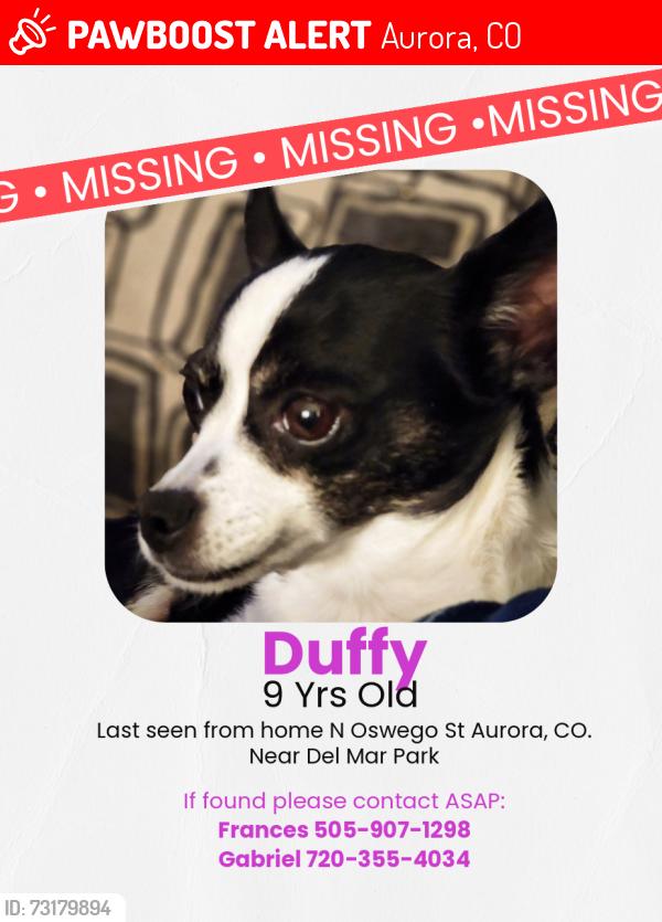 Lost Female Dog last seen Peoria and Delmar, Aurora, CO 80010