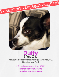 Lost Female Dog last seen Peoria and Delmar, Aurora, CO 80010