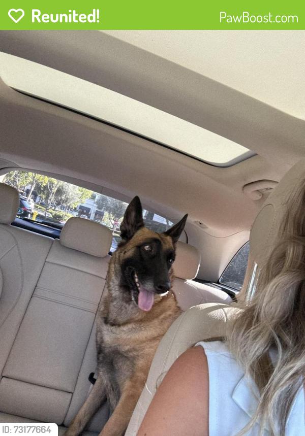 Reunited Female Dog last seen Business Center Dr, Irvine, CA 92612, USA, Irvine, CA 92612