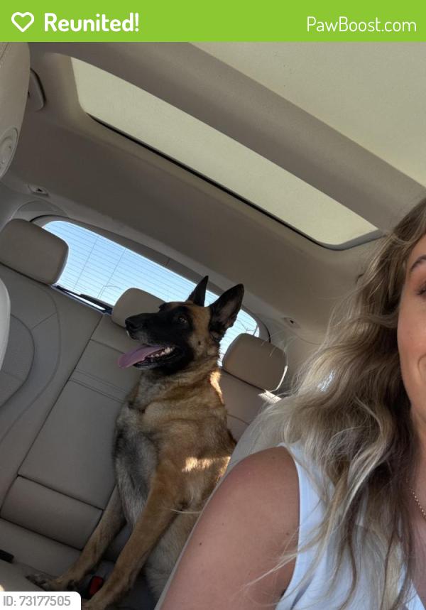 Reunited Female Dog last seen MacArthur Blvd, Newport Beach, CA, USA, Newport Beach, CA 92660