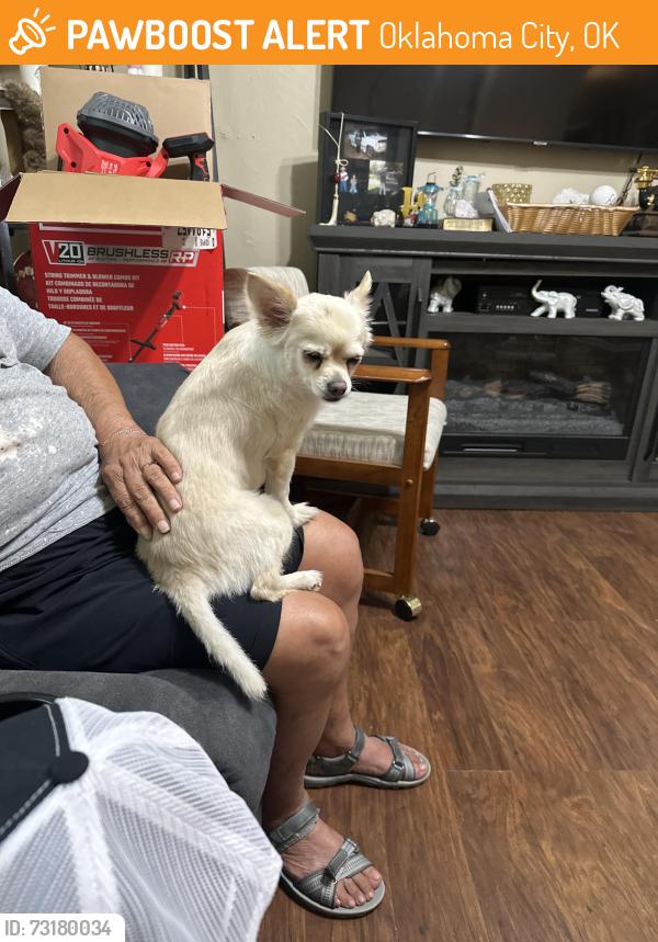 Found/Stray Female Dog last seen Se 32 and Santa Fe, Oklahoma City, OK 73129