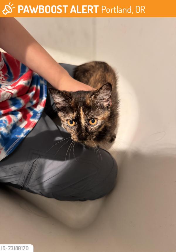 Found/Stray Female Cat last seen Clark Elementary, Portland, OR 97216