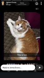 Lost Unknown Cat last seen Possibly seen near doller gen, Cortland, NY 13045