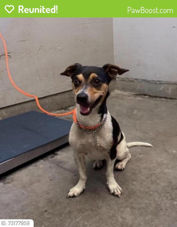 Reunited Male Dog last seen North bank, kennebec linear park, Ventura, CA 93004