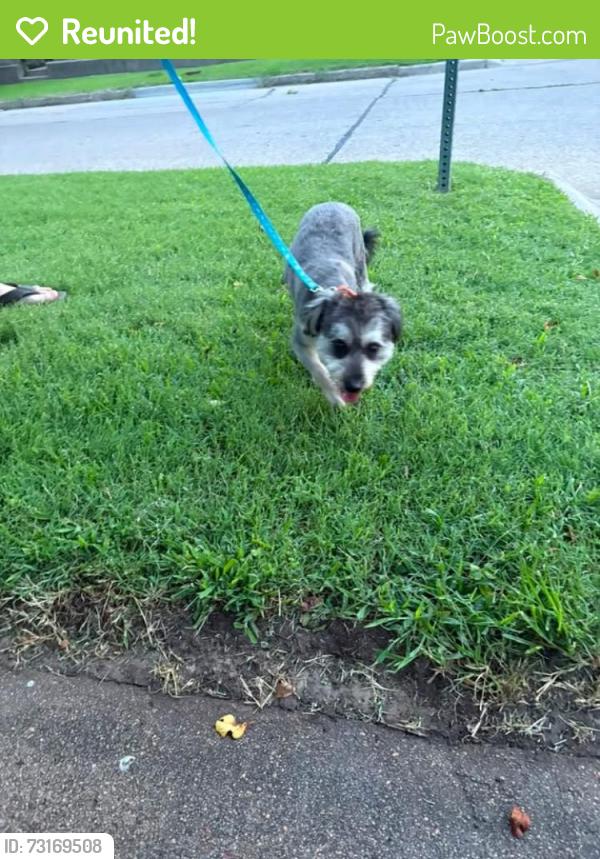 Reunited Male Dog last seen N 22nd St., Park Place 67204, Wichita, KS 67214