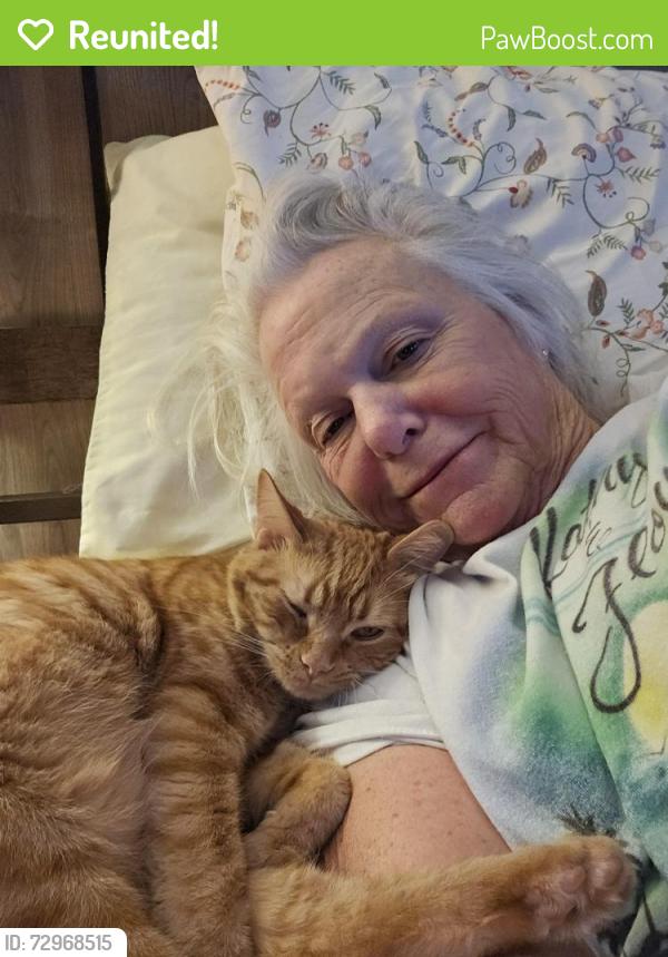 Reunited Male Cat last seen Memorial dr by Newby school, Mooresville, IN 46158