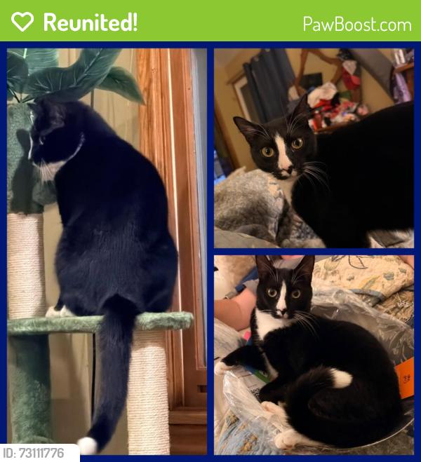 Reunited Male Cat last seen Rock and Woodlawn. And. 21st and 29th, Wichita, KS 67226