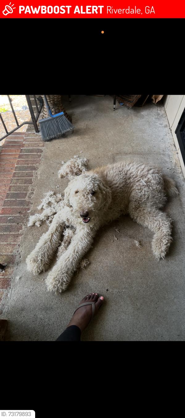 Lost Male Dog last seen East Fayetteville, Riverdale, GA 30296
