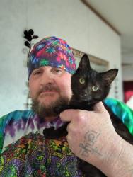 Reunited Male Cat last seen Keystone &Ritz Ave, Reading, PA 19606