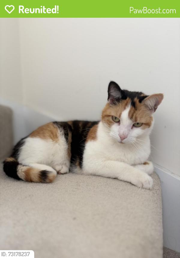 Reunited Female Cat last seen Teardrop Lake Hampton Beach, Peterborough, England 