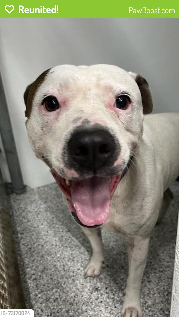 Reunited Unknown Dog last seen Port St. Lucie, Port St. Lucie, FL 34986