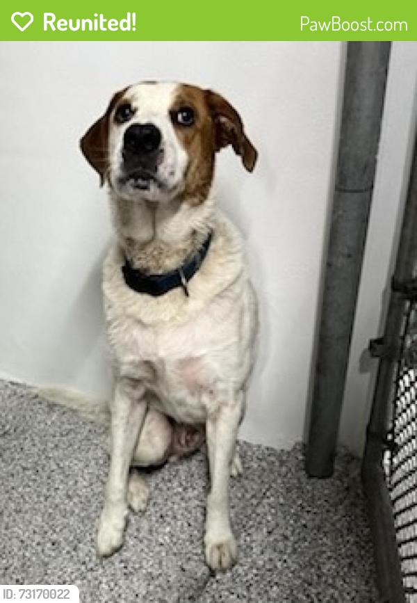 Reunited Unknown Dog last seen Port St. Lucie, Port St. Lucie, FL 34986