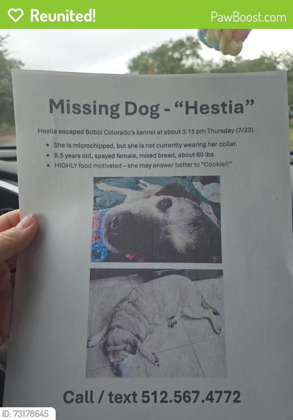 Reunited Female Dog last seen Bobbi Colorado's Canine Camp, Austin, TX 78736